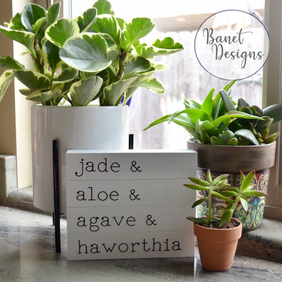 Succulent Names Svg Cricut Svg Silhouette Svg Diy Cut | Etsy