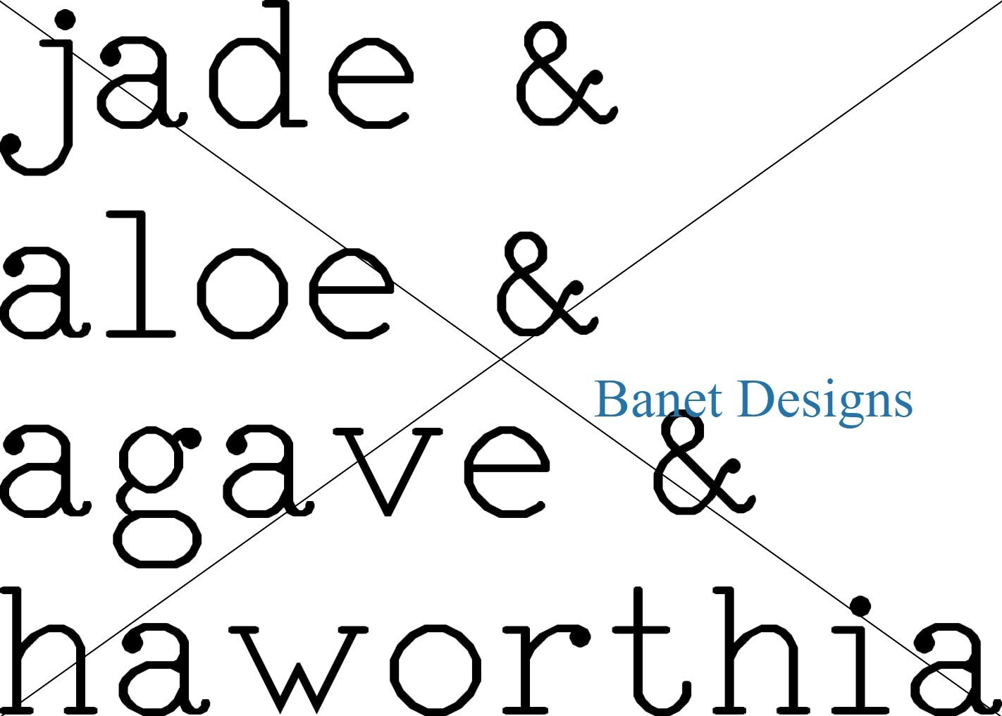 Succulent Names Svg, Cricut Svg, Silhouette Svg, Diy, Cut File, Plants ...