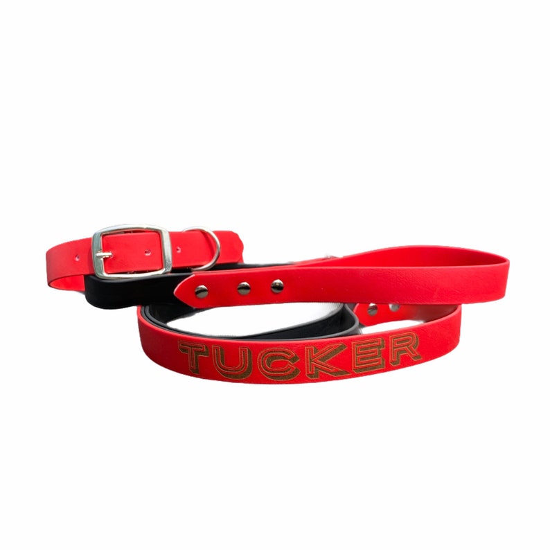 Personalized Biothane Dog Leash, Waterproof Vegan Leather, Custom ...
