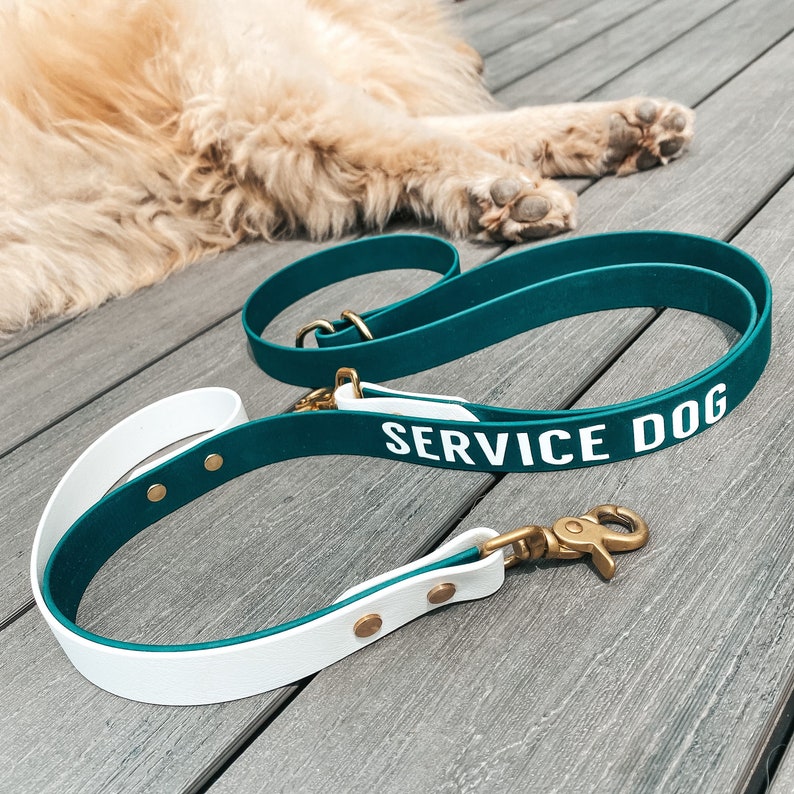 Op de afbeelding: Een witte en turquoise hondenriem met een wit "SERVICE DOG" label. De riem heeft een gouden metalen clip.