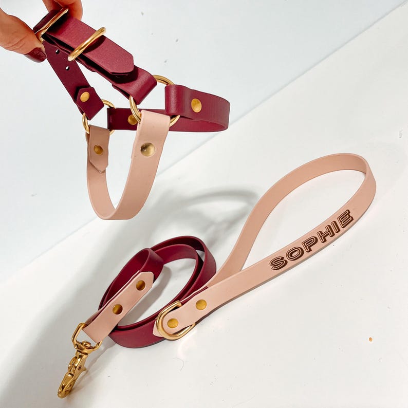 May include: A burgundy and blush pink leather dog harness and leash set with gold hardware. The leash is personalized with the name "SOPHIE" in a script font.