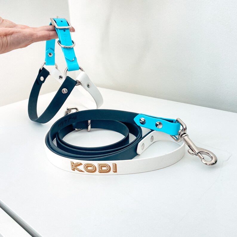 Op de afbeelding: Een blauw en wit hondenharnas met een zwart en wit tuigje. Het tuigje heeft een witte band met het woord "KODI" erop gedrukt.