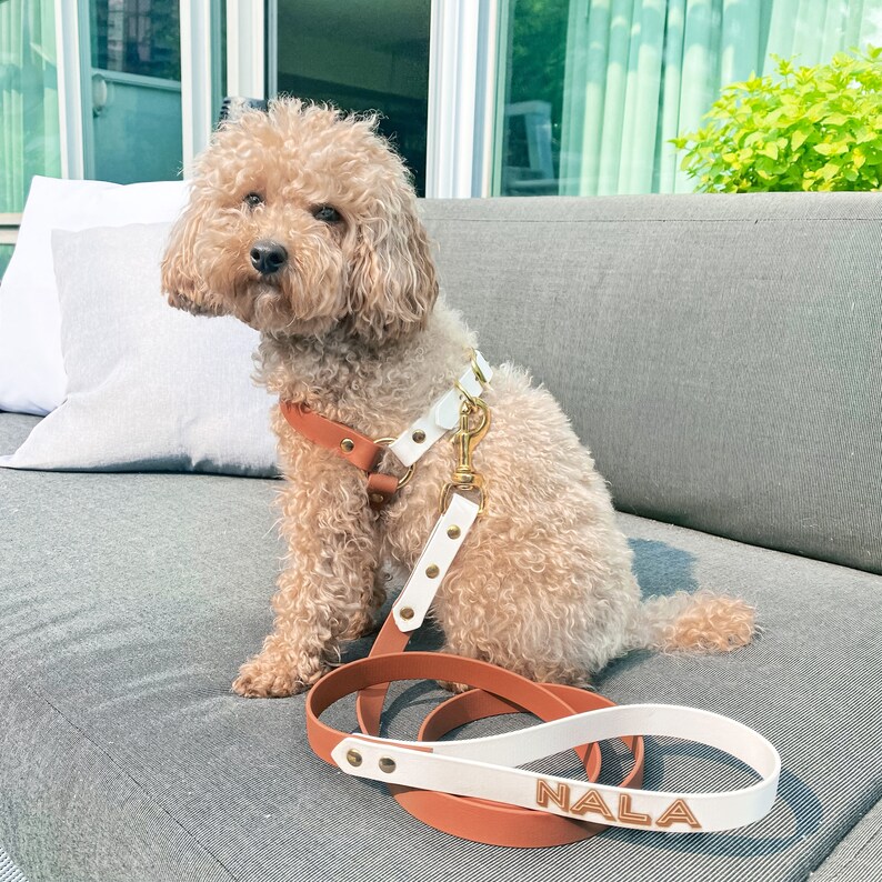 Personalized Biothane Dog Leash, Waterproof Vegan Leather, Custom ...