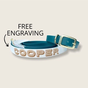 Biothane leash Hands free leash, Personalized leash waterproof dog leash, Vegan leather dog leash, Custom dog leash, Name on leash