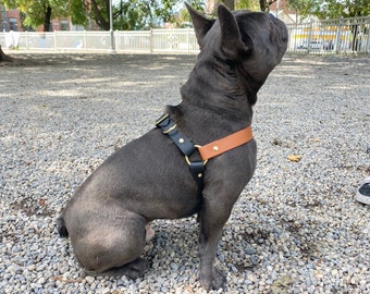 Arnés de biotano impermeable para perros, personalizado, fácil de poner y quitar.