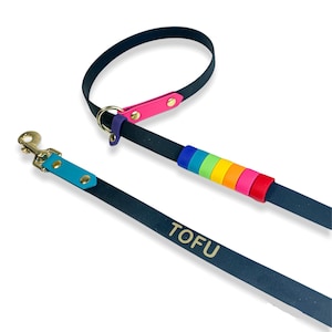 Regenbogen Eye Candy Add-On für Leine, Halsband oder Geschirr! Pride, Gay Pride, Love is Love, Regenbogen, Biothane, wasserfest, vegan, Welpe, Training
