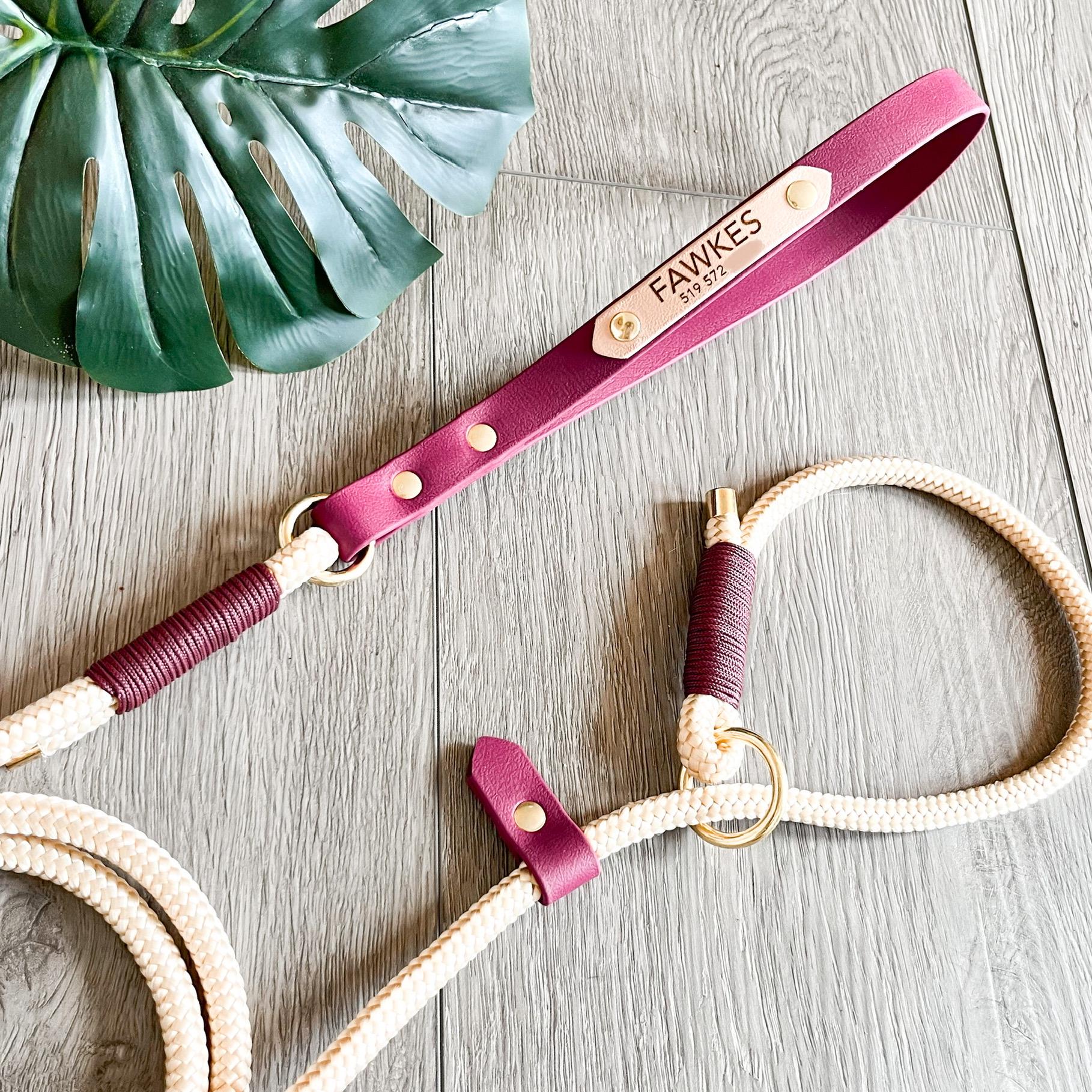 Waterproof Rope Dog Leash, Biothane Handle, Personalized Puppy Leash ...