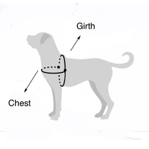 May include: Diagram showing how to measure a dog for a harness. The diagram shows a dog with a dashed line around its chest and a solid line around its girth.