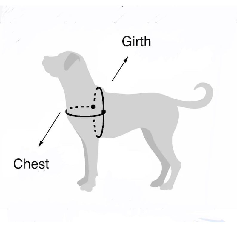 May include: Diagram showing how to measure a dog for a harness. The diagram shows a dog with a dashed line around its chest and a solid line around its girth.
