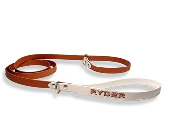 Personalized Biothane Dog Leash, Waterproof Slip Lead, Vegan Leather