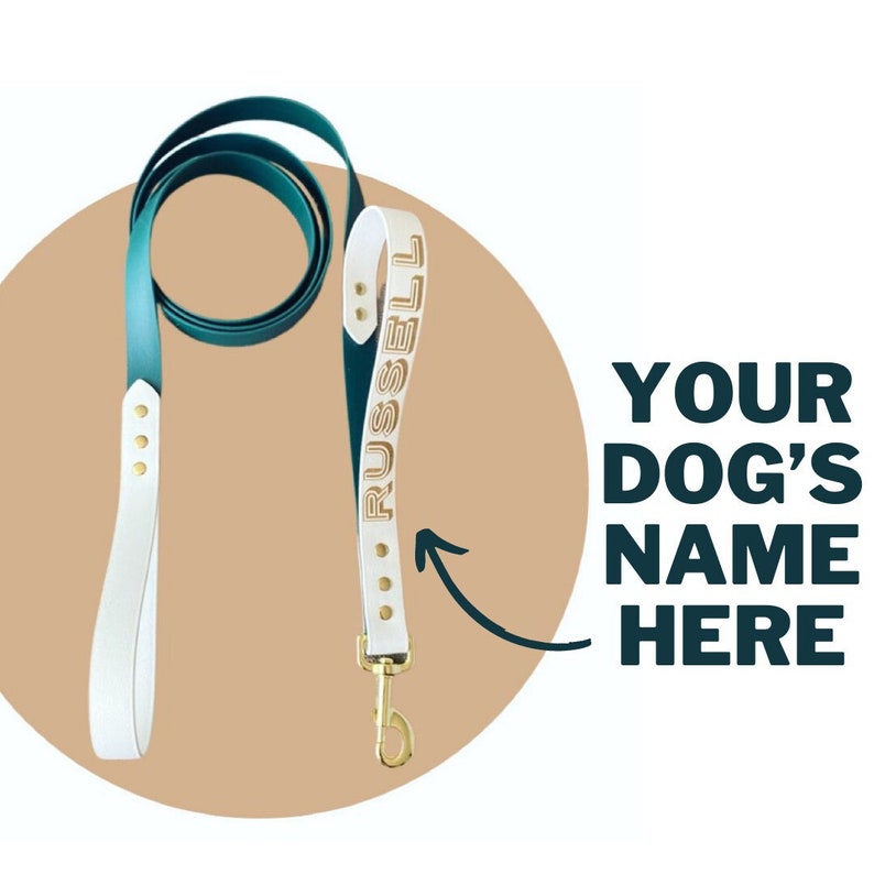 Personalized Biothane Dog Leash, Waterproof Vegan Leather, Custom ...