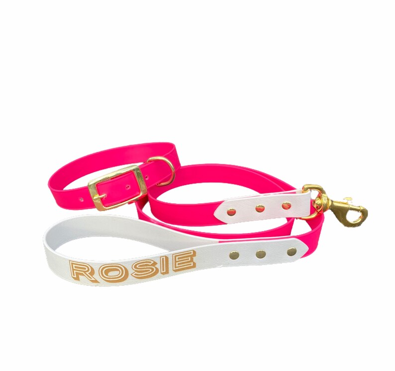 Personalized Biothane Dog Leash, Waterproof Vegan Leather, Custom ...