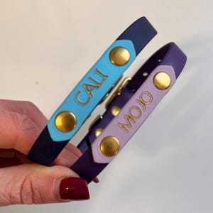 Waterdichte biothane-halsband, gepersonaliseerde hondenhalsband, hondenhalsband met naam, trainingshalsband, veganistische leren hondenhalsband, puppyhalsband