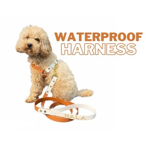 May include: A white and brown leather dog harness with gold accents and the word "NALA" on the leash. The harness is waterproof and is being worn by a small, white dog.