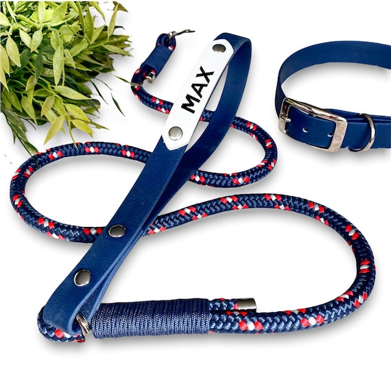 Dog training rope leash online