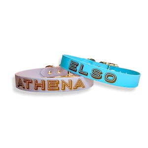 Waterdichte biothane-halsband, gepersonaliseerde hondenhalsband, hondenhalsband met naam, trainingshalsband, veganistische leren hondenhalsband, puppyhalsband