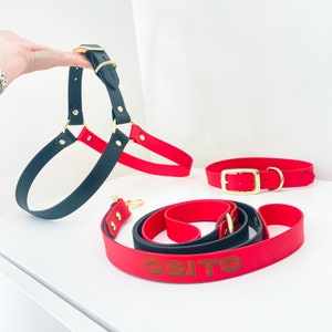 Waterproof Biothane Hands Free Dog Leash, Adjustable Dog Leash, Personalized Dog Leash, Cross Body Dog Leash, Puppy Training Dog Leash
