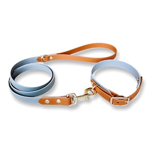 Biothane leash, Waterproof leash, Personalized leash, Vegan leather dog leash, Custom dog leash, Name on leash, Puppy leash, traffic leash