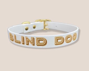 Wasserdichtes Biothane Hundehalsband, personalisiertes Vegan Leder, Hundetraining