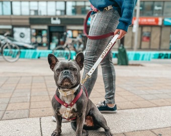 防水バイオセインハンズフリー犬用リーシュ、パーソナライズされたクロスボディリーシュ