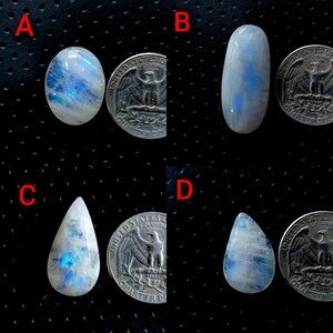 May include: Four polished moonstone cabochons in various shapes: oval, elongated, teardrop, and pear-shaped. Each stone displays a milky white base with blue and iridescent flashes. A U.S. quarter coin is next to each stone for size comparison.