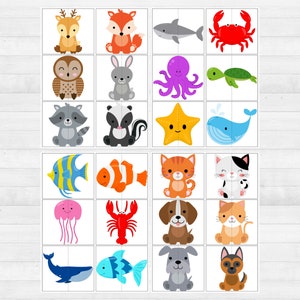 Op de afbeelding: Een set van 24 kleurrijke ge&iuml;llustreerde afbeeldingen van dieren en zeedieren. De afbeeldingen zijn gerangschikt in een raster van 6 rijen en 4 kolommen. De dieren omvatten een hert, een vos, een uil, een konijn, een wasbeer, een stinkdier, een kat, een hond, een vis, een kwal, een kreeft, een schildpad, een zeester en een octopus.