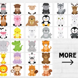 Op de afbeelding: Een set van 36 kleurrijke dierenillustraties, elk met een witte achtergrond. De dieren omvatten een koe, een varken, een walrus, een pingu&iuml;n, een zebra, een giraffe, een leeuw, een aap, een bever, een eekhoorn, een neushoorn, een tijger, een beer, een krokodil, een olifant, een eend, een zeehond, een konijn, een uil, een vos, een rendier, een wolf, een schaap, een vis en een vogel. De illustraties zijn perfect voor gebruik in kinderboeken, educatief materiaal of knutselwerk.