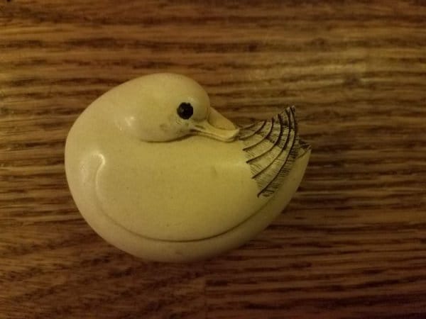 duck pill