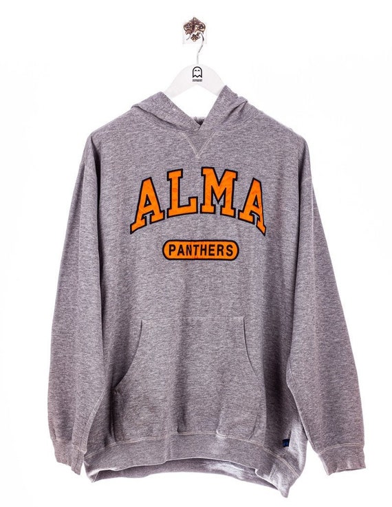 Vintage Holloway Alma Panthers Stick Hoodie Gray