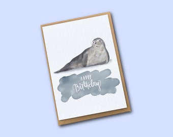 Happy Birthday Seal Card | Cute Sea Animal Card | Nature Greetings Card