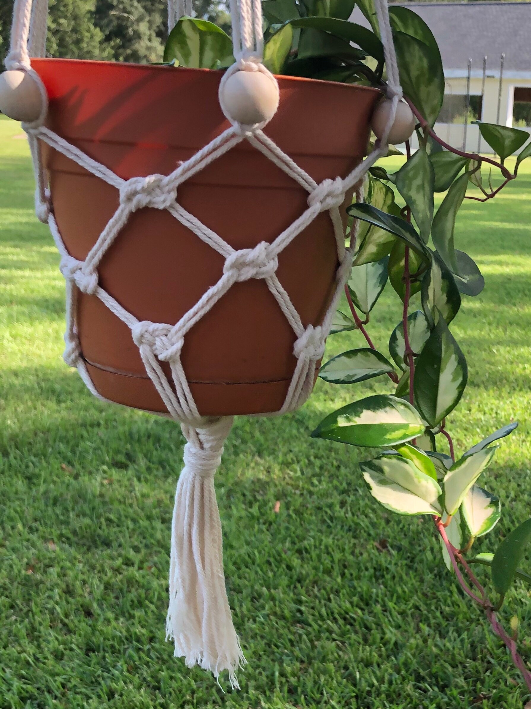 DIY Macrame Plant Hanger KIT Etsy