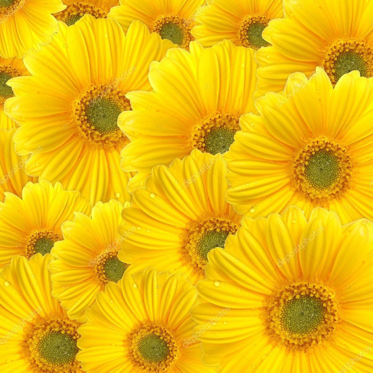 Dainty FLOWER Charm Bracelet Stackable String Bracelet Daisy Etsy Canada