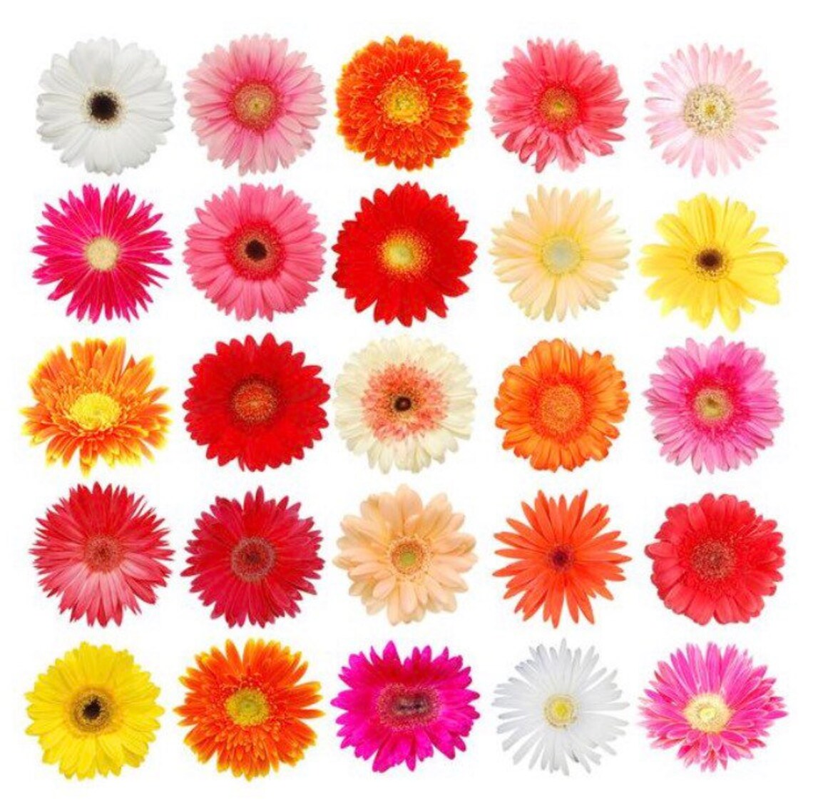 Dainty FLOWER Charm Bracelet Stackable String Bracelet Daisy Etsy Canada