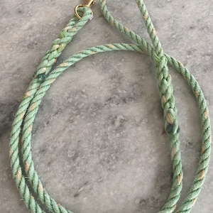 May include: A green and gold rope dog leash with a gold metal clip.