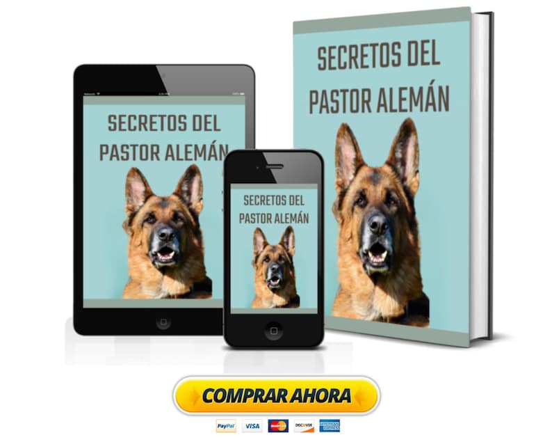 Curso Secretos Del Pastor Alemán: Cuidados, Nutrición Y Entrenamiento imagen 1