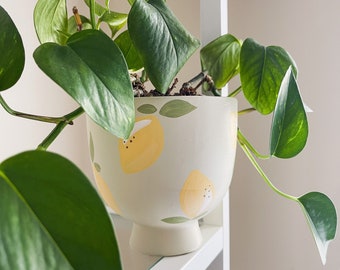 Lemony Pot | Hand Painted Terracotta Pot for Indoor Plants | Ready to Ship