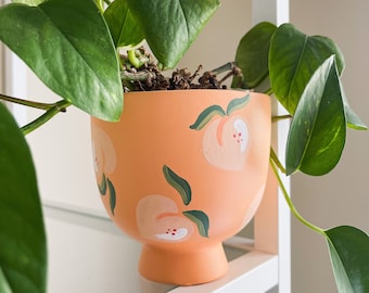 Peachy Pot | Hand Painted Terracotta Pot for Indoor Plants | Ready to Ship