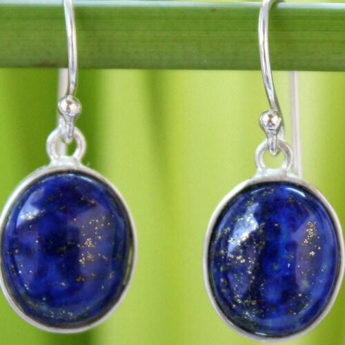•EQUA-ORBIT• lapis lazuli fangs + silver earrings