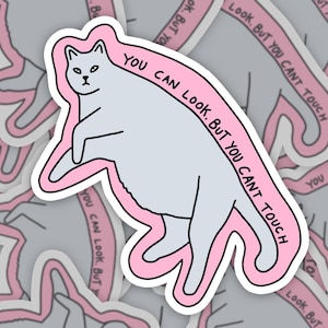 Faule Katze Aufkleber | Graue Katze Aufkleber | Sie können aussehen, aber Sie können nicht berühren Aufkleber | Lustige Cartoon Katze Aufkleber | Moody Graue Katze Aufkleber