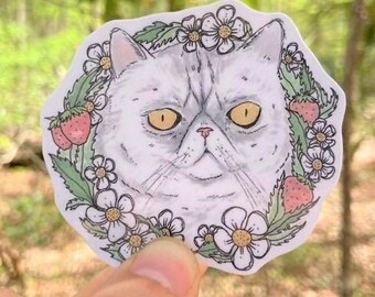 Funny Exotic Cat Sticker | Persian Cat Sticker | Weird Waterproof Sticker | Cute Stickers for Laptop | Cat Stickers Funny | Watercolor Cat