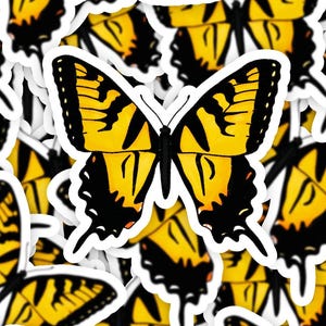 Monarchfalter Sticker | Niedlicher Cartoon Schmetterling | Insekt Aufkleber | Rettet die Schmetterlinge | Florida Pollinator Aufkleber | ShopFrankieSue