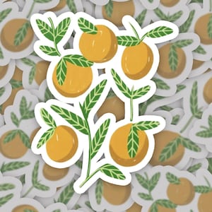 Oranges Handmade Vinyl Sticker | Waterproof Sticker | Botanical Orange Sticker | Cute Stickers for Laptop