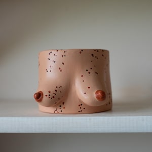 Puede incluir: Una maceta de cerámica con forma de torso con senos. La maceta es de color carne con motas marrones y pezones de color marrón rojizo. La maceta está sobre una estantería blanca.