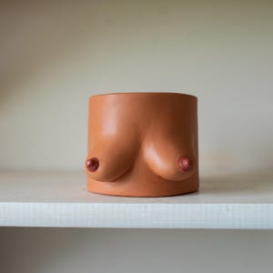 Könnte beinhalten: Ein terrakottafarbener Keramik-Blumentopf in Form eines Torsos mit Brüsten. Die Brustwarzen sind von einer dunkleren, rotbraunen Farbe. Der Topf ist zylindrisch mit glatter, matter Oberfläche und steht auf einem weißen Regal.