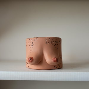 Small Handmade Boob Pot ( With freckles )