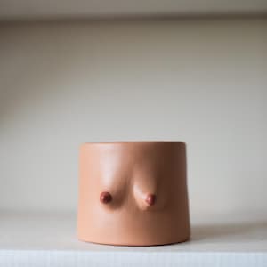 Puede incluir: Una maceta de cerámica color melocotón con forma de torso, con dos pequeñas protuberancias redondas de color marrón rojizo. La maceta es cilíndrica con una superficie lisa y se apoya en una estantería blanca. El diseño es minimalista y artístico.