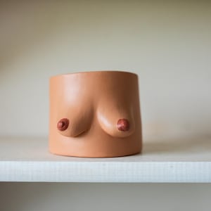 Könnte beinhalten: Ein terrakottafarbener Keramik-Blumentopf in Form eines Torsos mit zwei Brüsten. Die Brustwarzen sind in einem dunkleren Braunton gehalten. Der Topf steht auf einem weißen Regal.