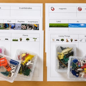 May include: A set of educational sorting worksheets and clear plastic storage containers filled with small plastic animal, plant, and object figurines. The worksheets feature categories like Vertebrates, Invertebrates, magnetic, non-magnetic, Land, Air, Water, Living Things, and Non-Living Things with corresponding images.