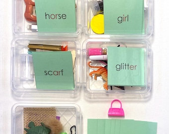 Montessori R-Controlled Vowel Object Boxes | Phonics Word Cards (ar, er, ir, or, ur)