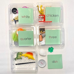 May include: A selection of miniature objects arranged in transparent plastic boxes. Each box contains a green card with a word: "white", "chicken", "quarter", "three", and "dish". The items include toys, a seashell, and sewing equipment.